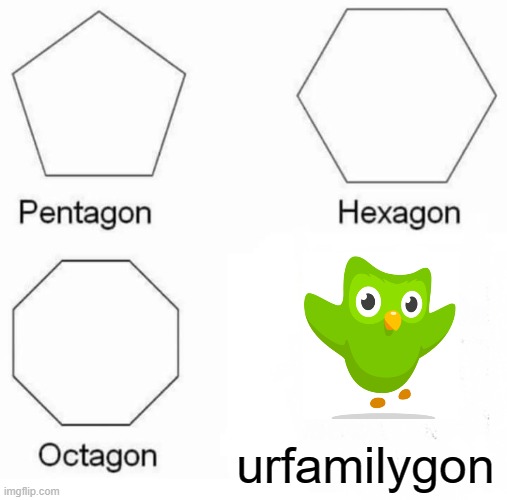 Pentagon Hexagon Octagon | urfamilygon | image tagged in memes,pentagon hexagon octagon,duolingo bird | made w/ Imgflip meme maker