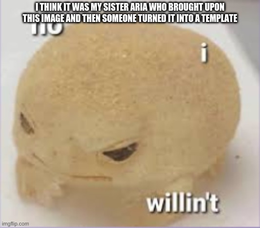 no i willin't | I THINK IT WAS MY SISTER ARIA WHO BROUGHT UPON THIS IMAGE AND THEN SOMEONE TURNED IT INTO A TEMPLATE | image tagged in no i willin't | made w/ Imgflip meme maker