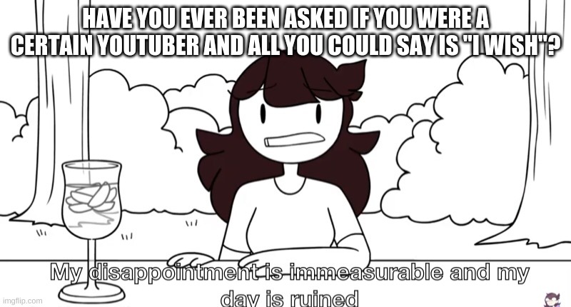 True story | HAVE YOU EVER BEEN ASKED IF YOU WERE A CERTAIN YOUTUBER AND ALL YOU COULD SAY IS "I WISH"? | image tagged in jaiden animations disappointment | made w/ Imgflip meme maker