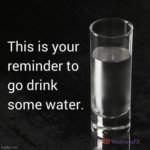 water. now. | image tagged in drink water | made w/ Imgflip meme maker