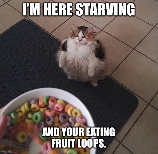 Loops Brother | I’M HERE STARVING; AND YOUR EATING FRUIT LOOPS. | image tagged in loops brother | made w/ Imgflip meme maker