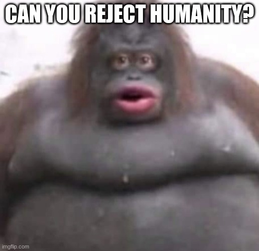 Le Monke | CAN YOU REJECT HUMANITY? | image tagged in le monke | made w/ Imgflip meme maker
