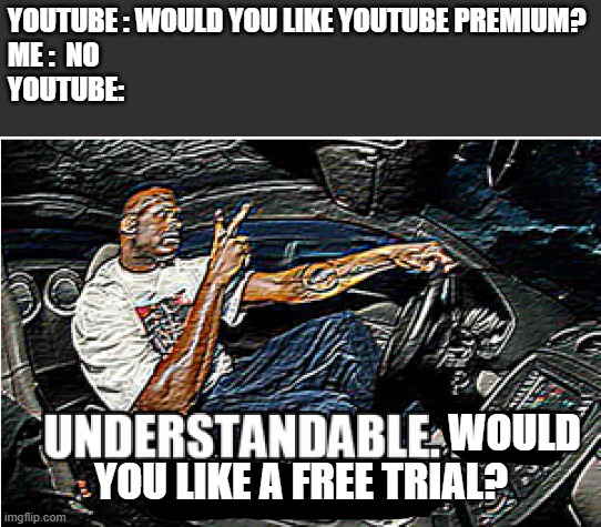 Youtube | YOUTUBE : WOULD YOU LIKE YOUTUBE PREMIUM?
ME :  NO
YOUTUBE:; WOULD 
YOU LIKE A FREE TRIAL? | image tagged in understandable have a great day | made w/ Imgflip meme maker