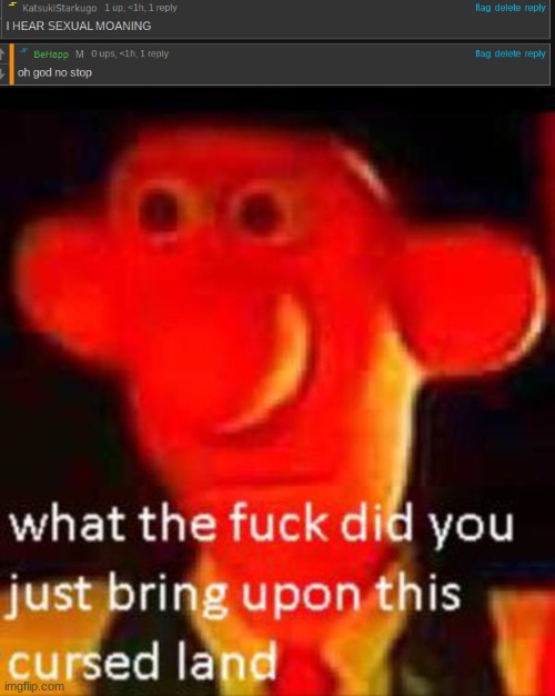 wtf | image tagged in what the f k did you just bring upon this cursed land | made w/ Imgflip meme maker