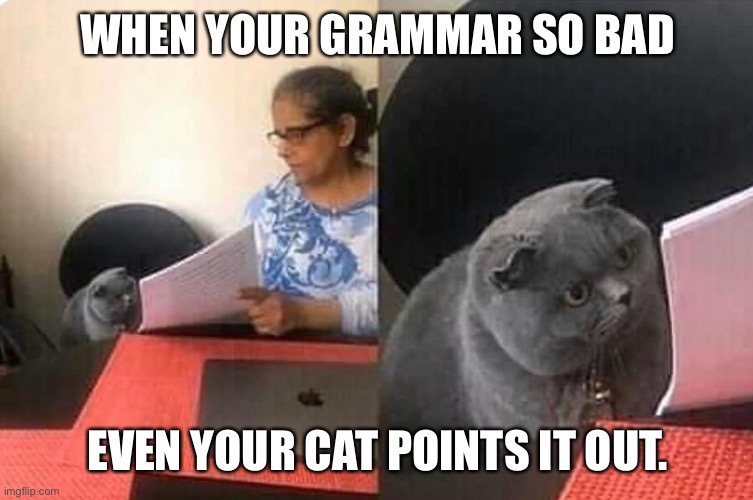Cat teacher | WHEN YOUR GRAMMAR SO BAD; EVEN YOUR CAT POINTS IT OUT. | image tagged in cat teacher | made w/ Imgflip meme maker