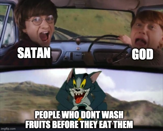 Tom chasing Harry and Ron Weasly | GOD; SATAN; PEOPLE WHO DONT WASH FRUITS BEFORE THEY EAT THEM | image tagged in tom chasing harry and ron weasly | made w/ Imgflip meme maker