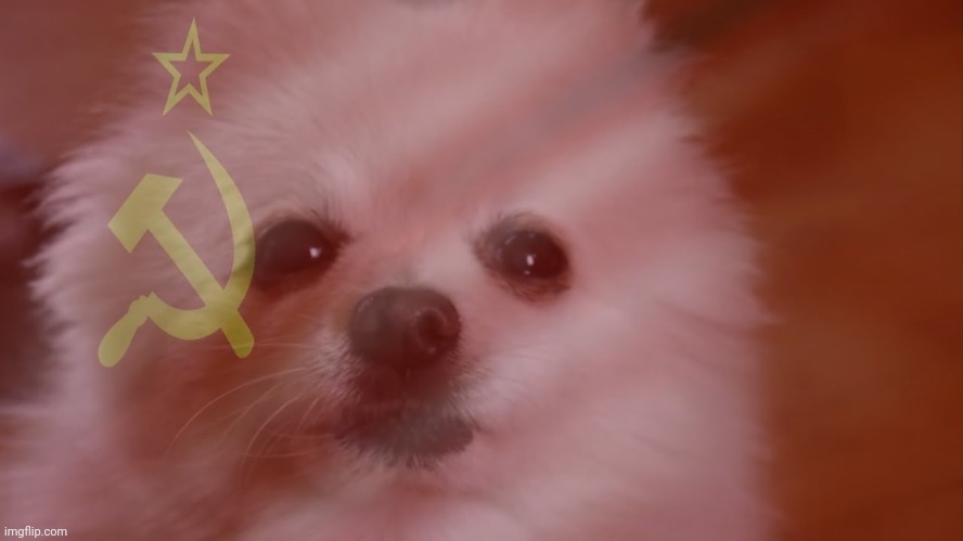 Comments for video | made w/ Imgflip meme maker