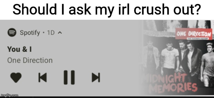 Or at least confess | Should I ask my irl crush out? | image tagged in you and i | made w/ Imgflip meme maker