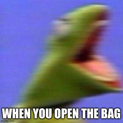 kermit screaming | WHEN YOU OPEN THE BAG | image tagged in kermit screaming | made w/ Imgflip meme maker