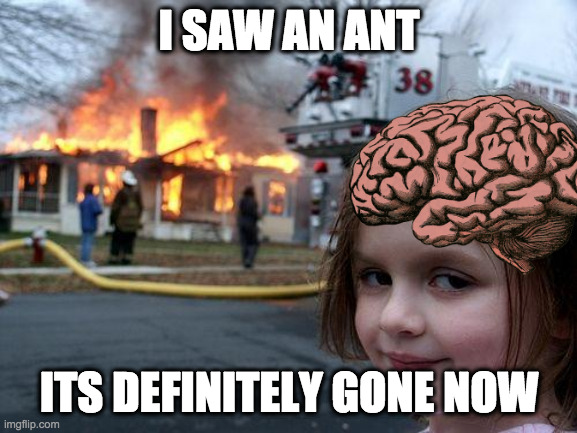 Big Brain Little Gurl |  I SAW AN ANT; ITS DEFINITELY GONE NOW | image tagged in memes,disaster girl,big brain,ant,gone | made w/ Imgflip meme maker
