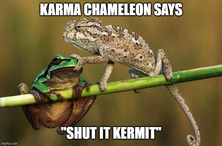 Frog chameleon | KARMA CHAMELEON SAYS; "SHUT IT KERMIT" | image tagged in funny,frog,chameleon | made w/ Imgflip meme maker