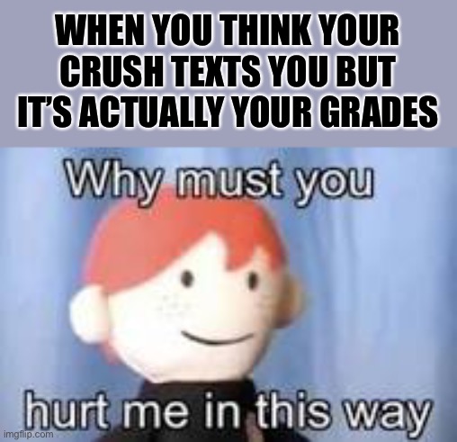 Anyone? | WHEN YOU THINK YOUR CRUSH TEXTS YOU BUT IT’S ACTUALLY YOUR GRADES | image tagged in why must you hurt me in this way | made w/ Imgflip meme maker