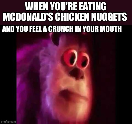 Based on unfortunate true events | WHEN YOU'RE EATING MCDONALD'S CHICKEN NUGGETS; AND YOU FEEL A CRUNCH IN YOUR MOUTH | image tagged in sully groan | made w/ Imgflip meme maker