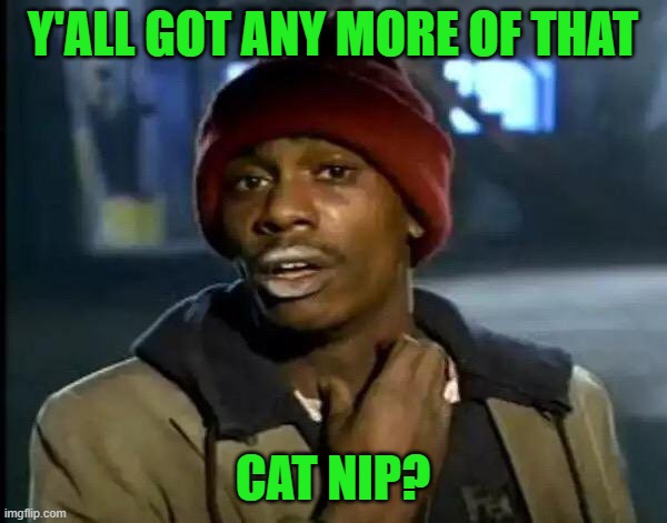 Y'all Got Any More Of That Meme | Y'ALL GOT ANY MORE OF THAT CAT NIP? | image tagged in memes,y'all got any more of that | made w/ Imgflip meme maker