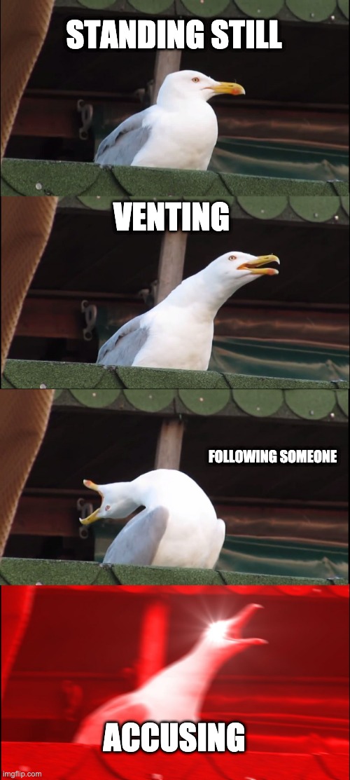 sus people | STANDING STILL; VENTING; FOLLOWING SOMEONE; ACCUSING | image tagged in memes,inhaling seagull | made w/ Imgflip meme maker