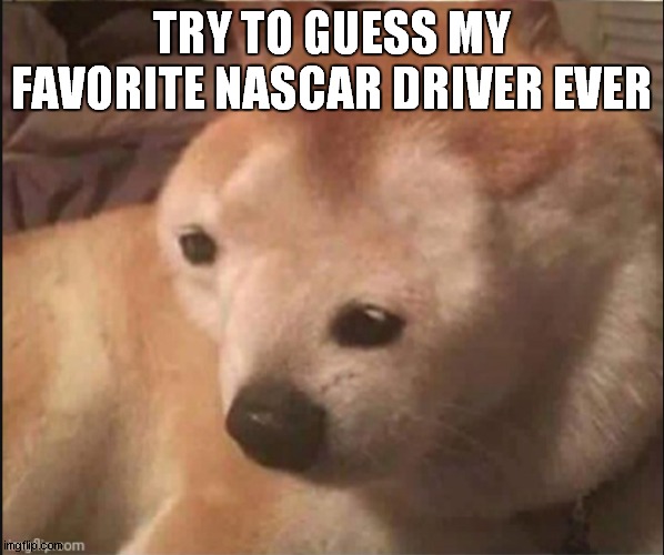 . | TRY TO GUESS MY FAVORITE NASCAR DRIVER EVER | image tagged in confused noise | made w/ Imgflip meme maker