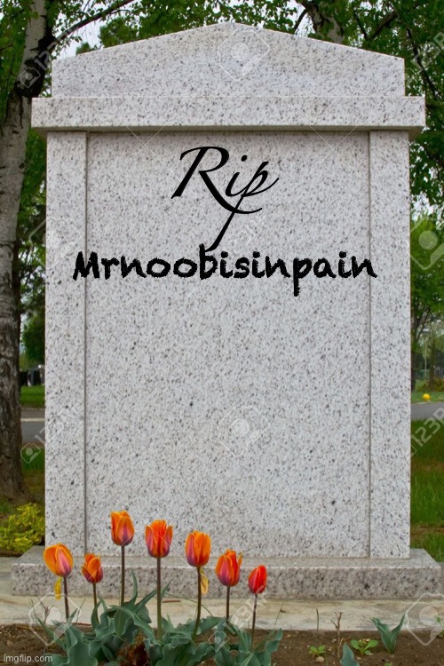blank gravestone | Mrnoobisinpain Rip | image tagged in blank gravestone | made w/ Imgflip meme maker