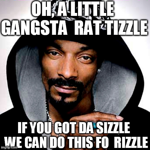 OH, A LITTLE  GANGSTA  RAT TIZZLE IF YOU GOT DA SIZZLE 

 WE CAN DO THIS FO  RIZZLE | made w/ Imgflip meme maker