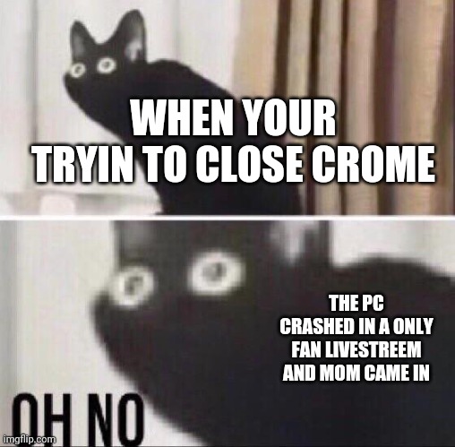 Oh no | WHEN YOUR TRYIN TO CLOSE CROME; THE PC CRASHED IN A ONLY FAN LIVESTREEM AND MOM CAME IN | image tagged in oh no cat | made w/ Imgflip meme maker