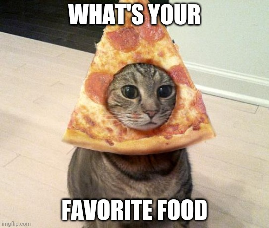 Pizza | WHAT'S YOUR; FAVORITE FOOD | image tagged in pizza cat | made w/ Imgflip meme maker