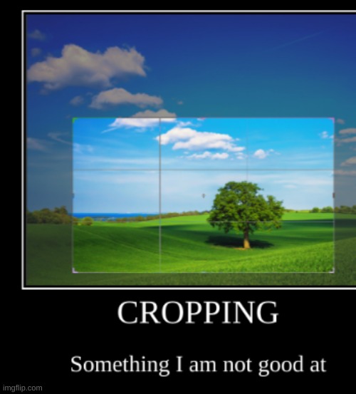 Cropping: Something I am not good at | image tagged in crop,cropping,funny,demotivational,picture | made w/ Imgflip meme maker
