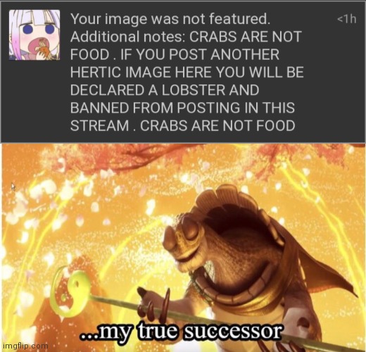 image tagged in my true successor | made w/ Imgflip meme maker