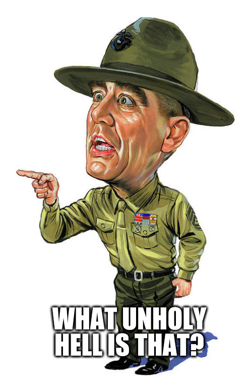 Sgt.Hartman | WHAT UNHOLY HELL IS THAT? | image tagged in full metal jacket | made w/ Imgflip meme maker
