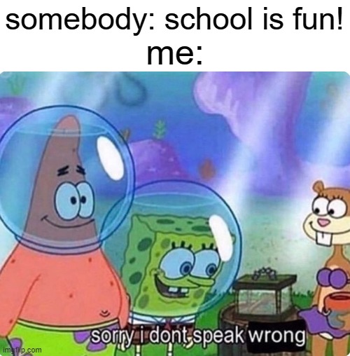 Sorry I don't speak wrong |  somebody: school is fun! me: | image tagged in sorry i don't speak wrong | made w/ Imgflip meme maker