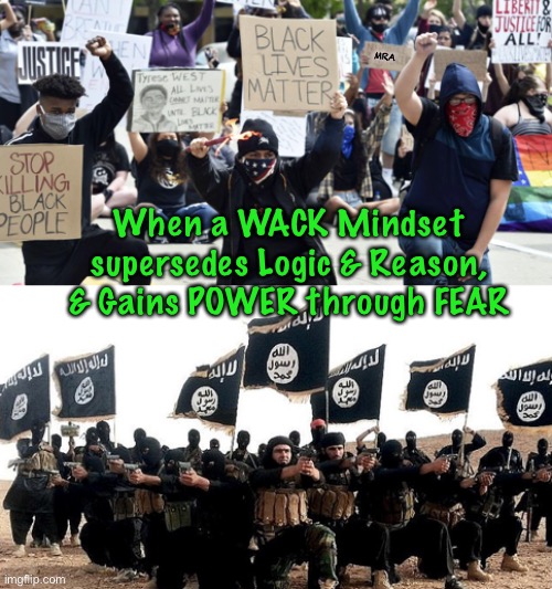 Black Lives Matter & ISIS | MRA; When a WACK Mindset supersedes Logic & Reason, & Gains POWER through FEAR | image tagged in black lives matter isis | made w/ Imgflip meme maker