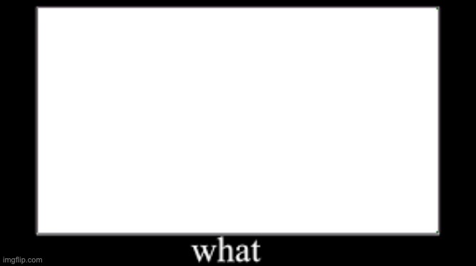what | image tagged in what | made w/ Imgflip meme maker