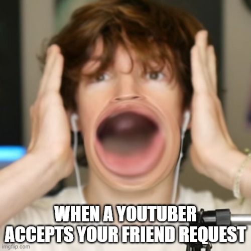 Flamingo surprised |  WHEN A YOUTUBER ACCEPTS YOUR FRIEND REQUEST | image tagged in flamingo surprised | made w/ Imgflip meme maker