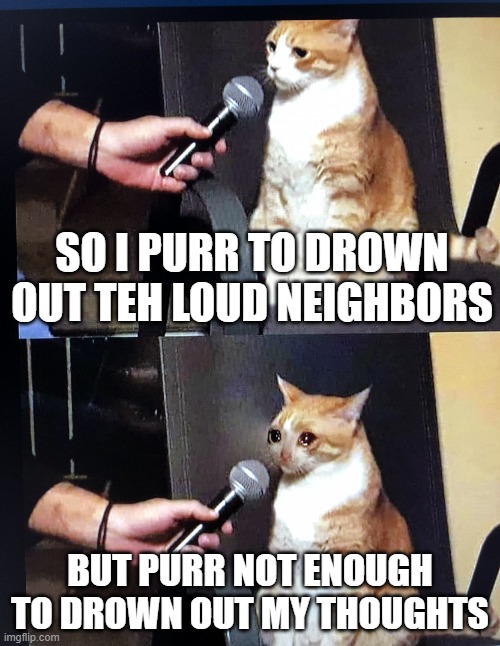 thoughts > purr | SO I PURR TO DROWN OUT TEH LOUD NEIGHBORS; BUT PURR NOT ENOUGH TO DROWN OUT MY THOUGHTS | image tagged in cat interview crying | made w/ Imgflip meme maker