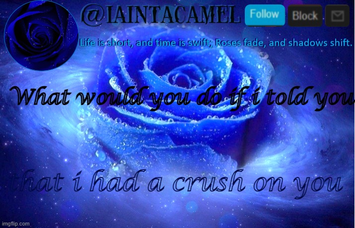 iaintacamel | What would you do if i told you; that i had a crush on you | image tagged in iaintacamel | made w/ Imgflip meme maker