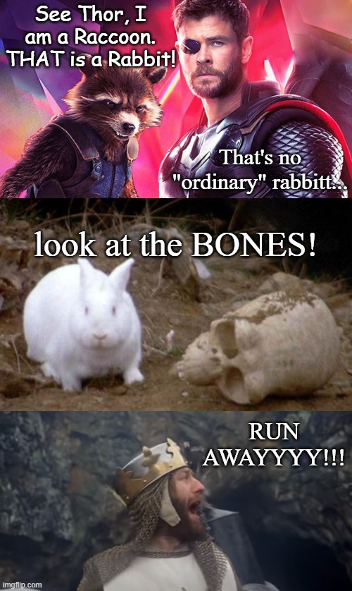 Asguardians of the Holy Grail | See Thor, I am a Raccoon.
THAT is a Rabbit! That's no "ordinary" rabbitt... look at the BONES! RUN AWAYYYY!!! | image tagged in marvel cinematic universe,thor,rocket raccoon,funny memes | made w/ Imgflip meme maker