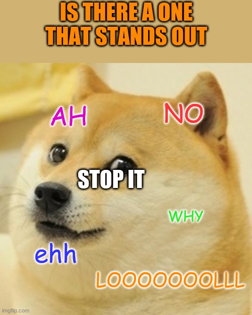Doge Meme | AH NO WHY ehh LOOOOOOOLLL STOP IT IS THERE A ONE
THAT STANDS OUT | image tagged in memes,doge | made w/ Imgflip meme maker