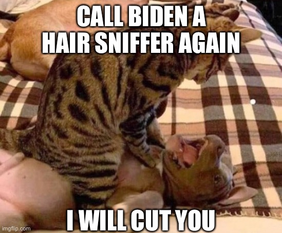 Leave the car alone | CALL BIDEN A HAIR SNIFFER AGAIN; I WILL CUT YOU | image tagged in politics,political meme | made w/ Imgflip meme maker