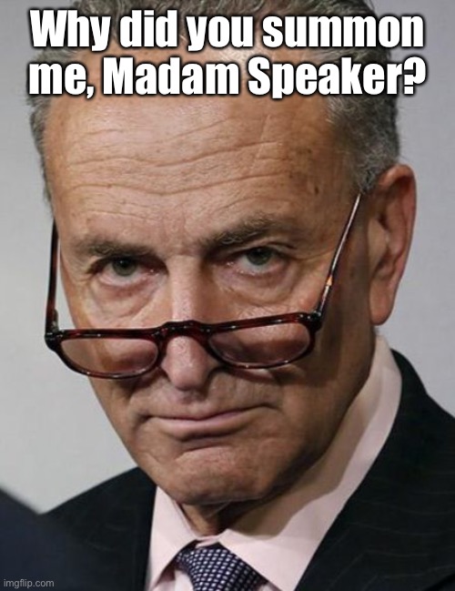 Shumer puss | Why did you summon me, Madam Speaker? | image tagged in shumer puss | made w/ Imgflip meme maker