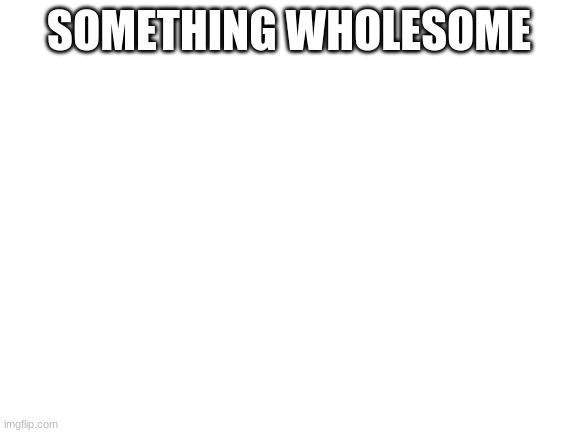 Blank White Template | SOMETHING WHOLESOME | image tagged in blank white template | made w/ Imgflip meme maker
