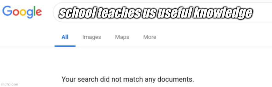 Google No Results | school teaches us useful knowledge | image tagged in google no results | made w/ Imgflip meme maker