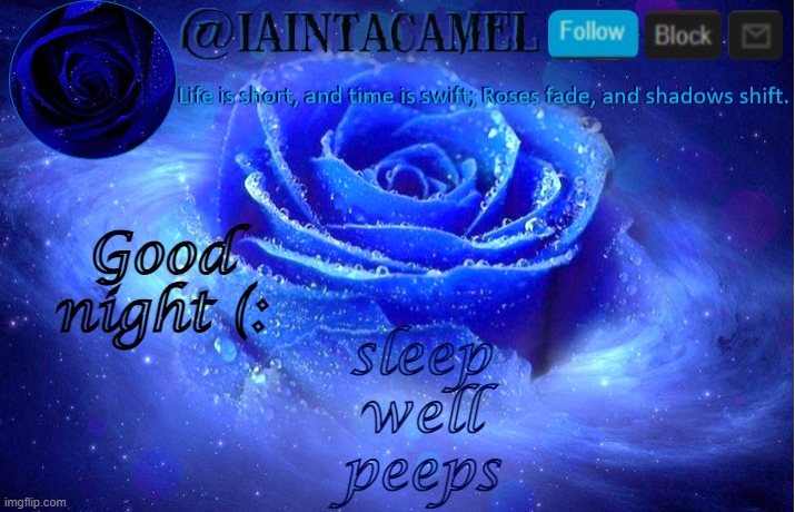 iaintacamel | sleep well peeps; Good night (: | image tagged in iaintacamel | made w/ Imgflip meme maker