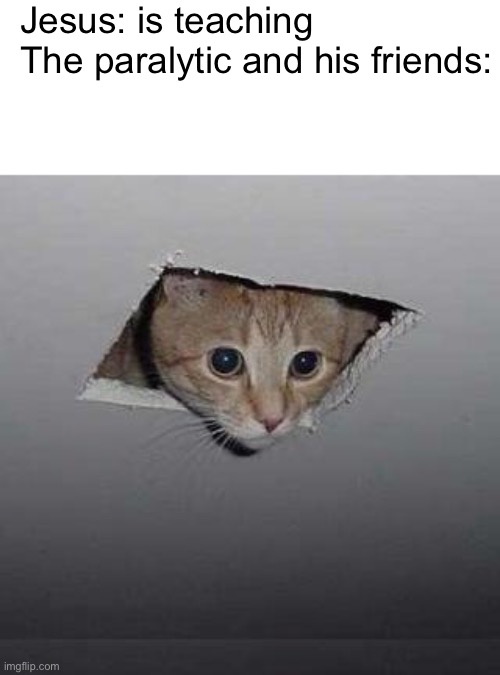 Ceiling Cat Meme | Jesus: is teaching 
The paralytic and his friends: | image tagged in memes,ceiling cat | made w/ Imgflip meme maker