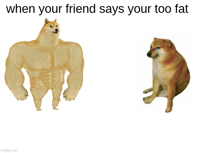 funny | when your friend says your too fat | image tagged in memes,buff doge vs cheems | made w/ Imgflip meme maker