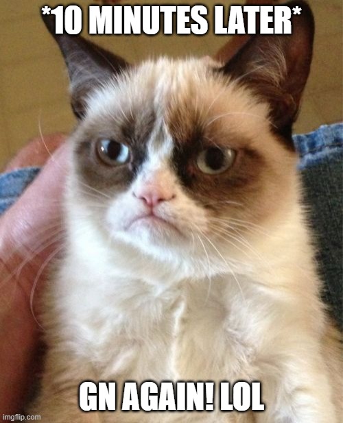 Grumpy Cat | *10 MINUTES LATER*; GN AGAIN! LOL | image tagged in memes,grumpy cat | made w/ Imgflip meme maker