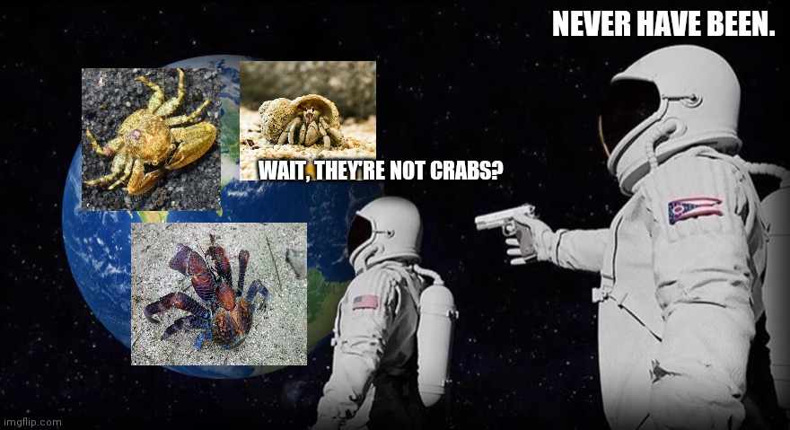 Dam you carcinization. | NEVER HAVE BEEN. WAIT, THEY'RE NOT CRABS? | image tagged in wait it's all | made w/ Imgflip meme maker