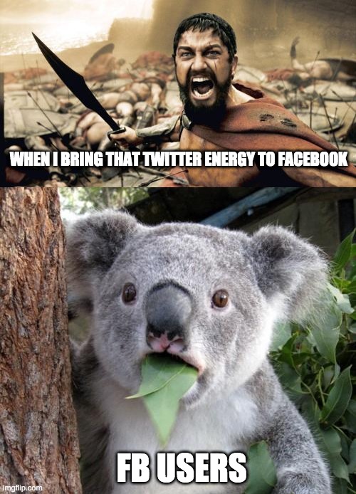 That Twitter Energy on Facebook | WHEN I BRING THAT TWITTER ENERGY TO FACEBOOK; FB USERS | image tagged in memes,sparta leonidas,surprised koala,facebook,twitter | made w/ Imgflip meme maker