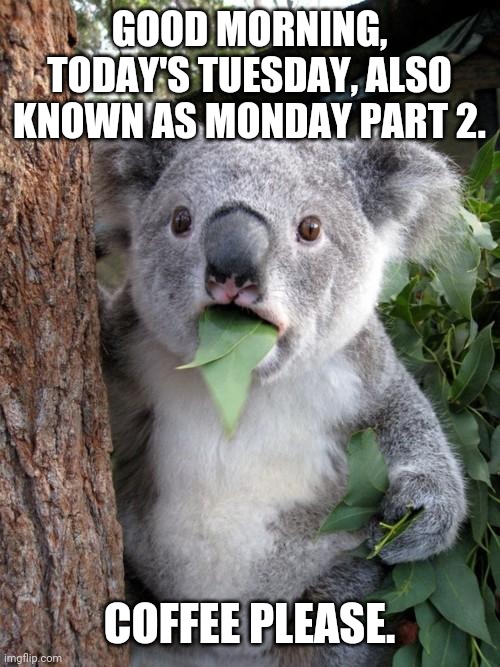 Tuesday | GOOD MORNING, TODAY'S TUESDAY, ALSO KNOWN AS MONDAY PART 2. COFFEE PLEASE. | image tagged in coffee | made w/ Imgflip meme maker
