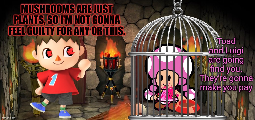 Cursed Mayor's basement | Toad and Luigi are going find you. They're gonna make you pay; MUSHROOMS ARE JUST PLANTS, SO I'M NOT GONNA FEEL GUILTY FOR ANY OR THIS. | image tagged in cursed,mayor,animal crossing,toadette,basement,cage | made w/ Imgflip meme maker