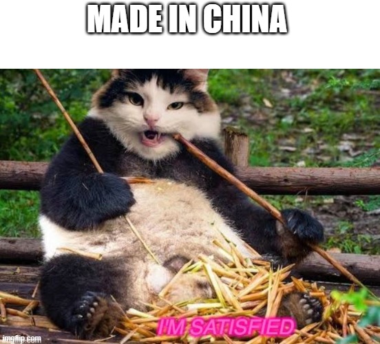 MADE IN CHINA | made w/ Imgflip meme maker