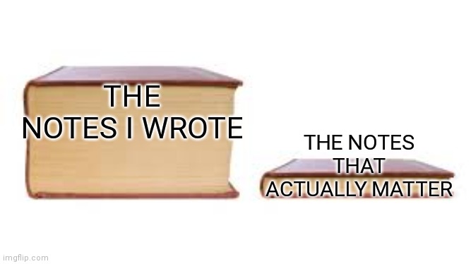 Relatable? | THE NOTES I WROTE; THE NOTES THAT ACTUALLY MATTER | image tagged in big book small book | made w/ Imgflip meme maker