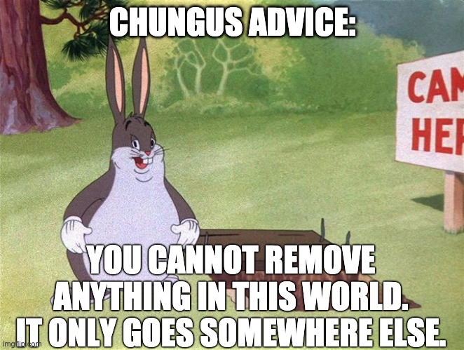Big Chungus | CHUNGUS ADVICE:; YOU CANNOT REMOVE ANYTHING IN THIS WORLD. IT ONLY GOES SOMEWHERE ELSE. | image tagged in big chungus | made w/ Imgflip meme maker